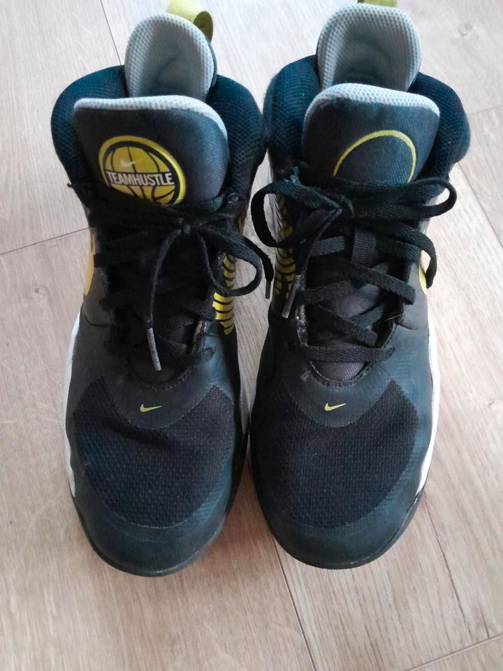 Nike Schuhe, Sportschuhe Gr. 38,5 in Potsdam