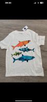 Gap  T-Shirt mit Hai, Fisch , Gr. XS Niedersachsen - Wilhelmshaven Vorschau