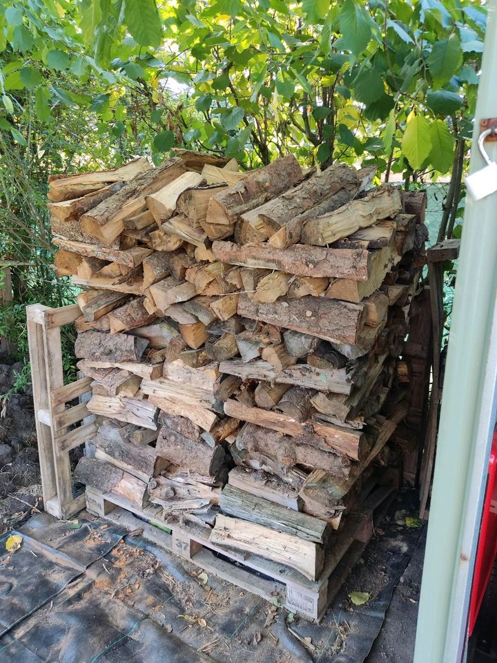 abgelagerten Holz / Brennholz /Kaminholz in Hannover