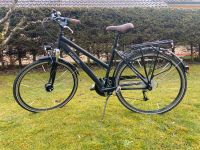 Damen Trekking 28‘‘ Alu Fahrrad, Prophet Comfort NEU Bayern - Seeshaupt Vorschau