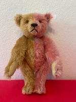 Süßer Steiff Teddybär -Jahrtausendwende Niedersachsen - Winsen (Luhe) Vorschau