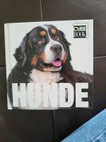 Hunde Cube Book Nordrhein-Westfalen - Coesfeld Vorschau