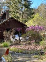 Idyllisches Ferienhaus im Wald zu verkaufen Schleswig-Holstein - Lütjensee Vorschau