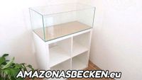 76,5x39x30 Aquarium 90l für IKEA Kallax Sondermaß auch Weißglas Niedersachsen - Bad Nenndorf Vorschau