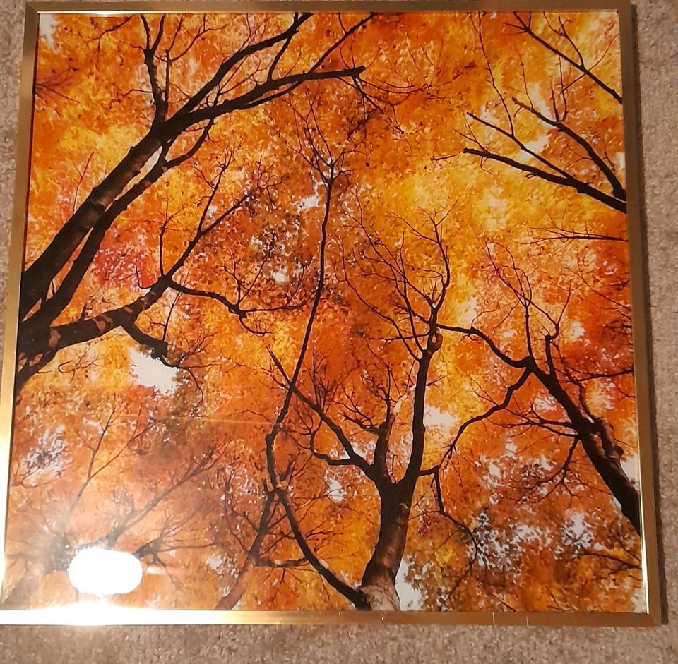 Glasbild, Bild, Herbst, 50x50 cm, Dekoration in Iserlohn