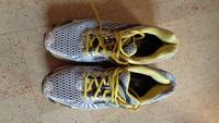 SAUCONY❤️ Laufschuhe Modell Ride 4   Gr. 46,5 Niedersachsen - Lüneburg Vorschau