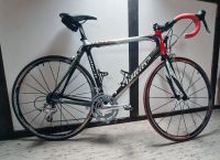 Wilier Triestina Izoard Carbon, Grösse L, wenig gefahren Rheinland-Pfalz - Pelm Vorschau