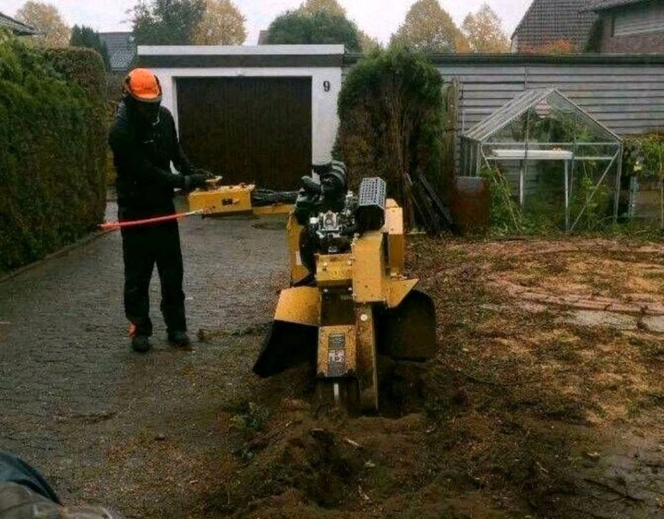 Baumpflege Baumkontrolle Baumfällung Seilklettertechnik in Bremerhaven