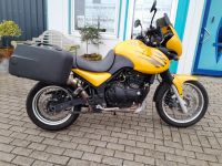 Triumph Tiger 885 Lieferung ist möglich Nordrhein-Westfalen - Nieheim Vorschau