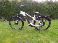 E-Bike Conway Cairon C329 (2021)Hardtail 29" Kreis Ostholstein - Scharbeutz Vorschau