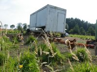 Mobilstall, Hühnermobil, mobiler Hühnerstall, Containerstall Niedersachsen - Engelschoff Vorschau