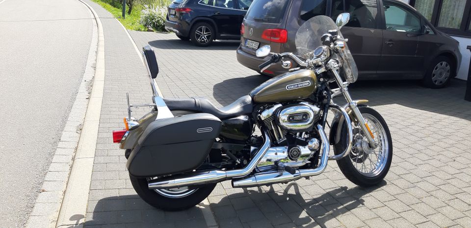 Harley Davidson Sportster XL1200 L in Weidenbach