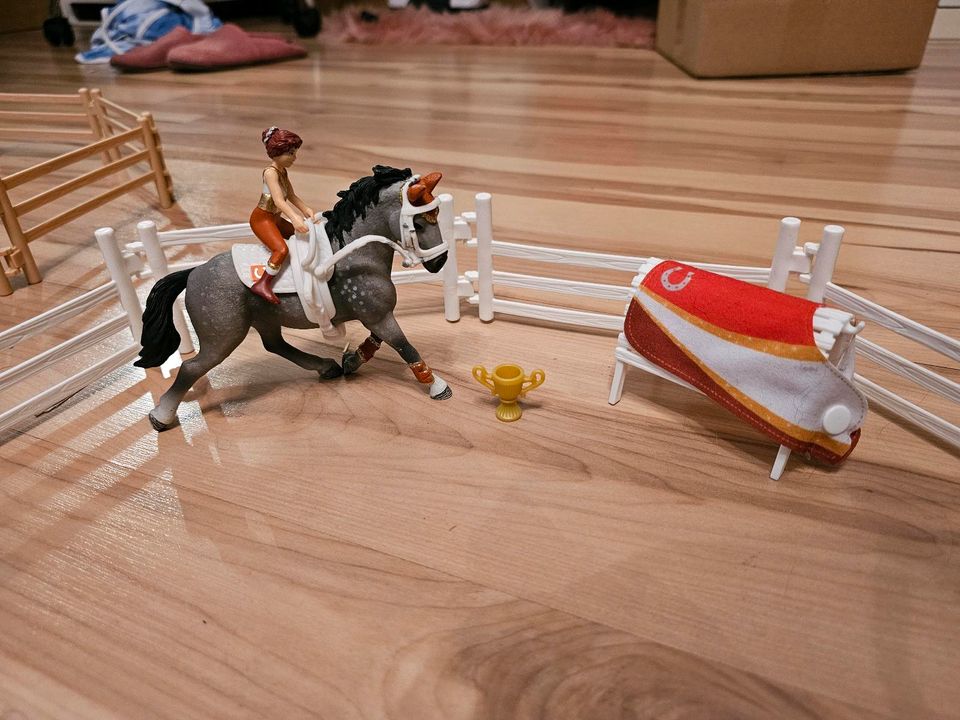 Schleich Horse Club Voltigierset in Bergheim