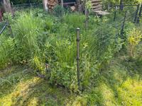 Gartenzaun inkl. Tor Nordwestmecklenburg - Landkreis - Zickhusen Vorschau