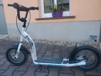 Bikestar Roller mit Luftreifen Sachsen - Radebeul Vorschau