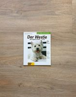 Der Westie, West Highland White Terrier, Bolle-Kleinbub, GU Schleswig-Holstein - Lübeck Vorschau