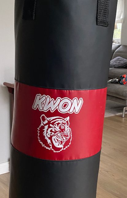Kinder Boxsack "Junior Tiger" von Kwon in Hamburg