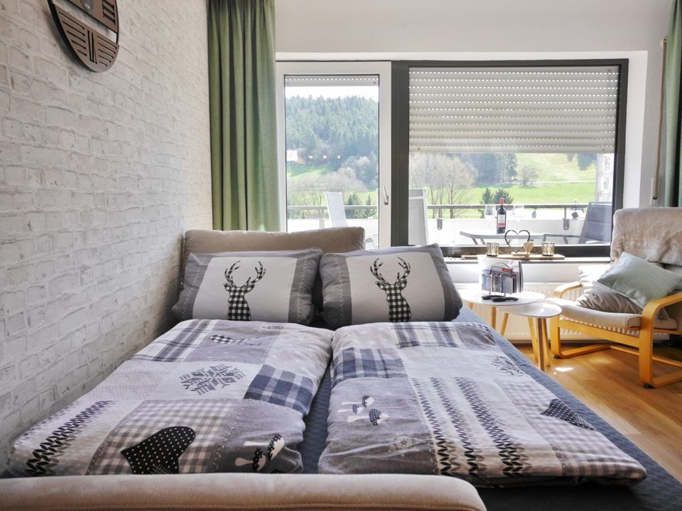 Fewo HappyNest+Hallenbad (2-4P) Ferienwohnung Willingen Sauerland in Willingen (Upland)