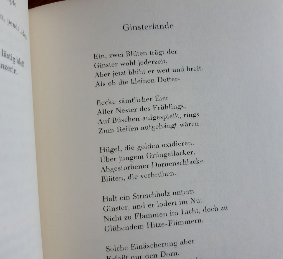 Seamus Heaney | Ausgewählte Gedichte | Nobelpreis Literatur 1995 in Werther (Westfalen)