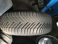 Ganzjahres Reifen Hankook 195/65 R15 auf Alu Felgen Bayern - Feucht Vorschau