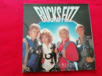 Bucks Fizz Are You Ready LP Schallplatte Niedersachsen - Giesen Vorschau