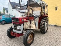 Massey Ferguson MF133 Traktor Oldtimer Brief IHC Rheinland-Pfalz - Worms Vorschau
