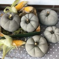 Beton Kürbis Pumpkin Herbst Deko Garten wetterfest Gold Rosé blau Kreis Pinneberg - Elmshorn Vorschau