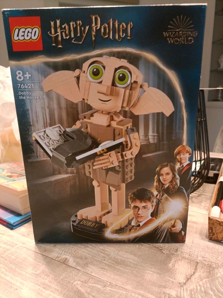 Lego Dobby in Delligsen