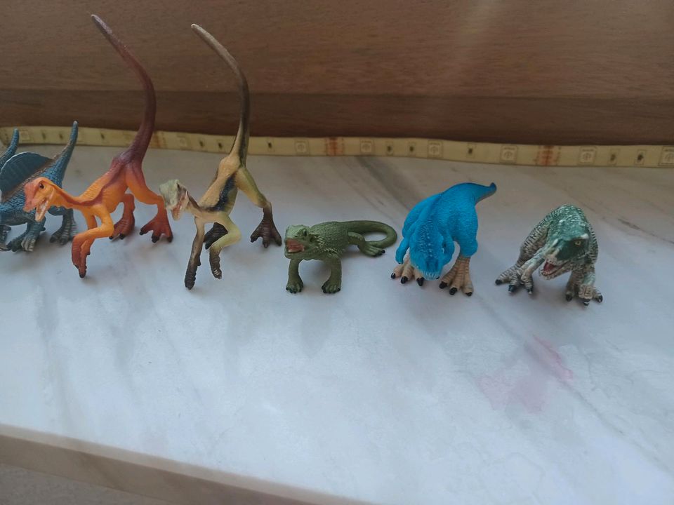 10 kleine Dinosaurier von Schleich⚘️PERFEKT FÜR DIE ZUCKERTÜTE ⚘️ in Cottbus