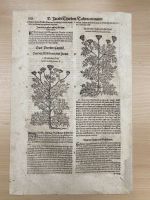 Kräuterbuch, Holzschnitte, Botanik, Pflanzen Baden-Württemberg - Karlsruhe Vorschau