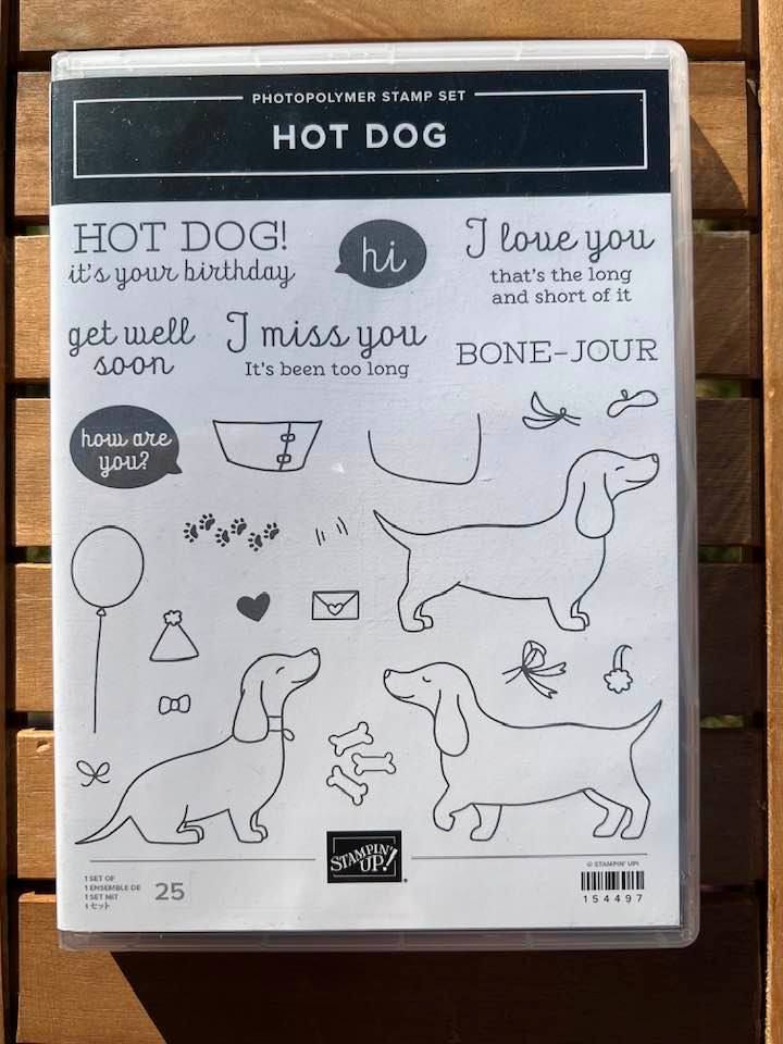 STAMPIN UP neues Stempelset HOT DOG Hund in Nesse-Apfelstädt