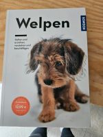 Buch Welpen Hessen - Bad Camberg Vorschau