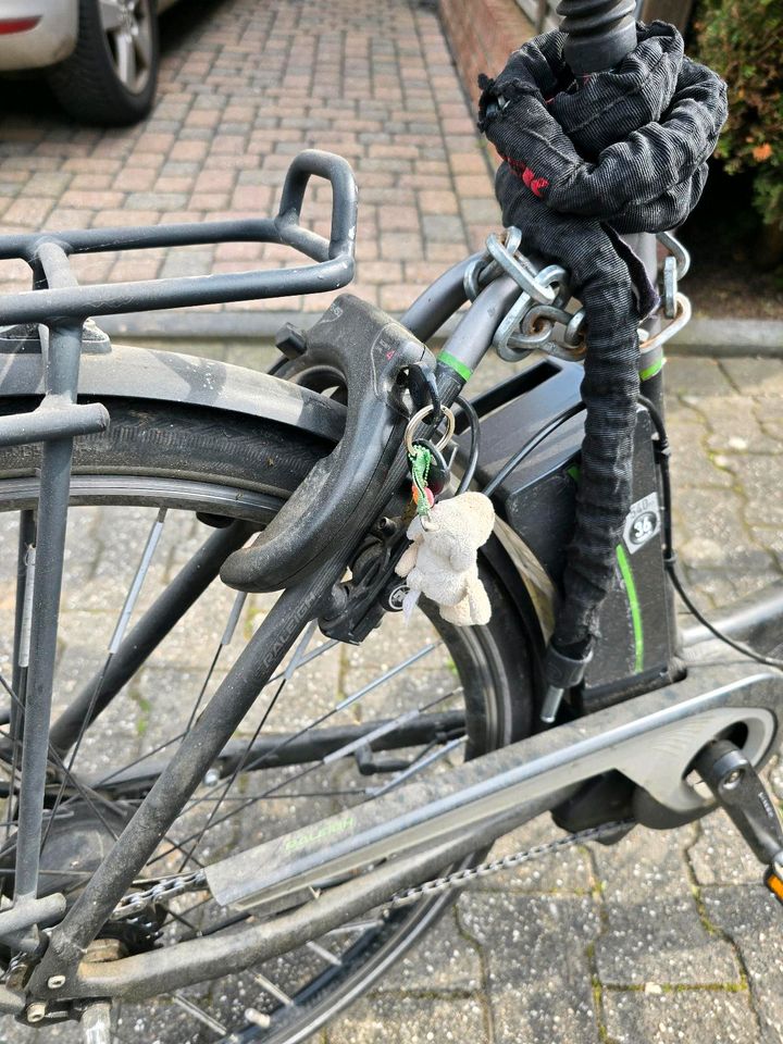 E Bike von Raleigh in Bergheim