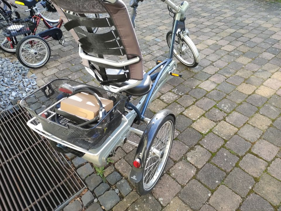 E-Bike E-Trike E-Dreirad Therapierad Van Raam neuer Akku in Vahlbruch