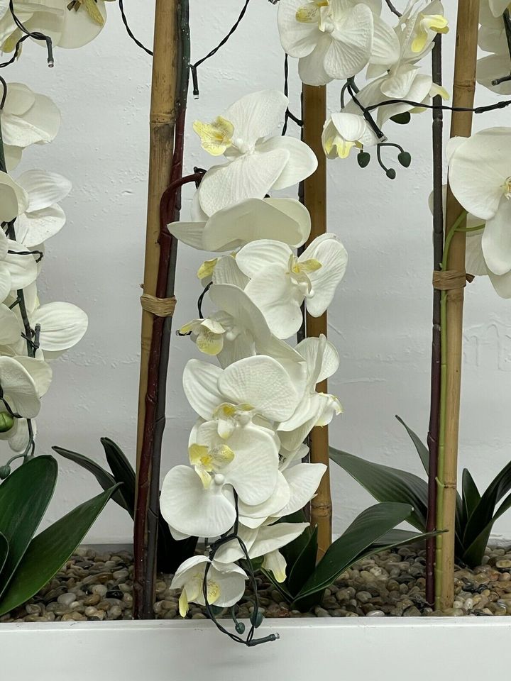 Deko Orchidee in weiß mit weißen Topf in Kiel