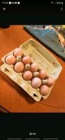 Frische Bio Hühner-Eier Abzugeben (regelmäßig) Ab Sofort 2.50€ Nordrhein-Westfalen - Hörstel Vorschau