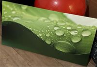 Stimmungsvolles Bild Regen Grün Dschungel Blatt 108x58 cm Nordrhein-Westfalen - Pulheim Vorschau