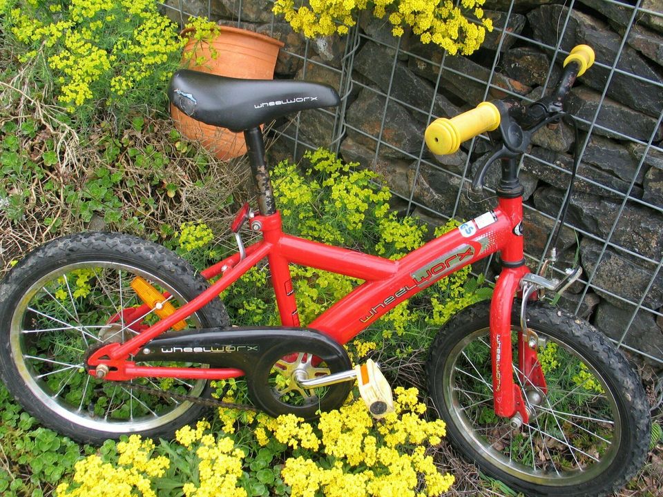 LETZTE CHANCE!Kinderfahrrad Mountainbike  20' Mädchen / Junge rot in Waldbreitbach