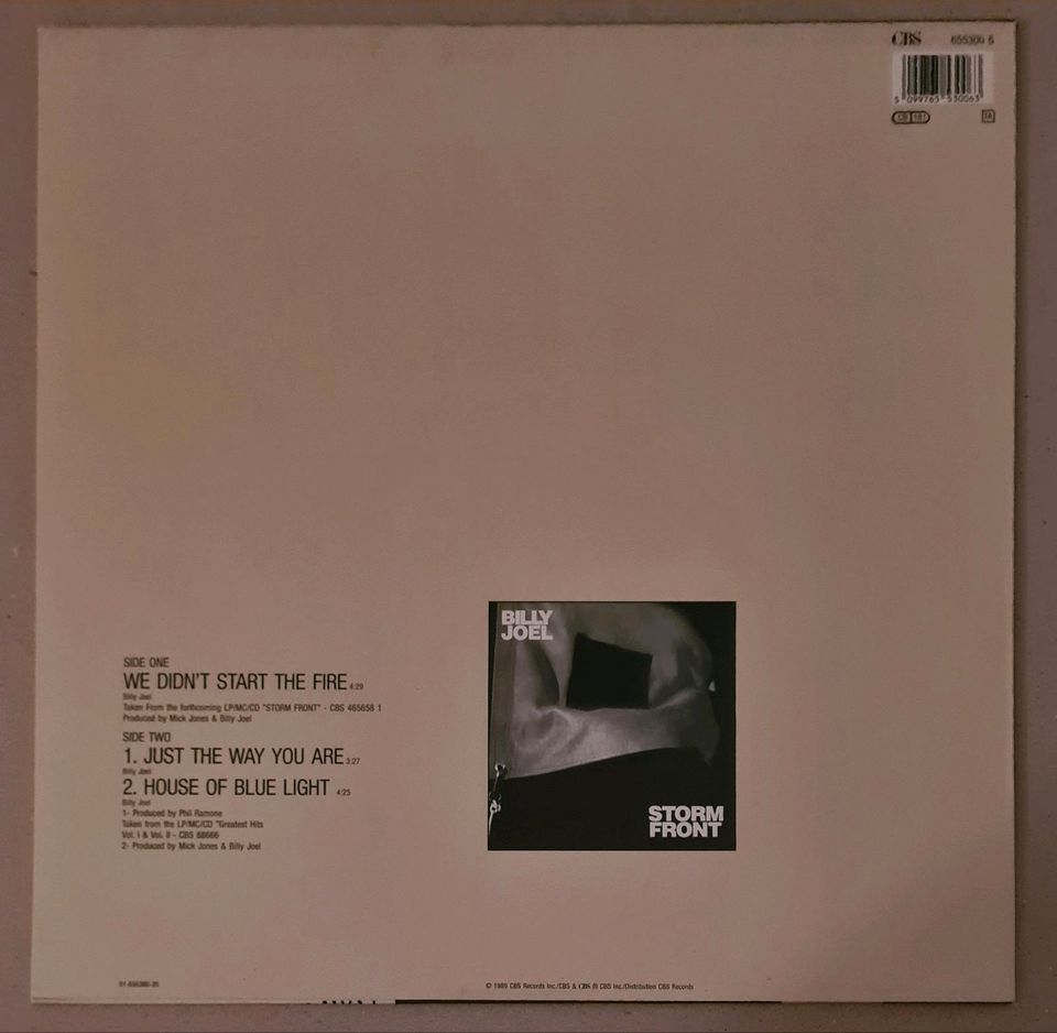 Billy Joel: We didn't start the fire   Vinyl  Maxi-Single 12" TOP in Nottensdorf