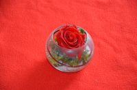 Rose + Glas + Deko + Kunstblume + Geschenk + Liebe + Regal + Vase Bayern - Kissing Vorschau