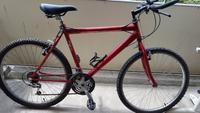 Vintage Mountainbike 26er / Damen - Herren Crossrad / Herrenrad Köln - Köln Buchheim Vorschau