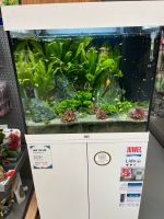 Juwel Aquarium 120 Liter Nordrhein-Westfalen - Wickede (Ruhr) Vorschau