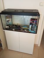 112 Liter Aquarium mit Unterschrank, CO2-Anlage und Zubehör Hessen - Wiesbaden Vorschau