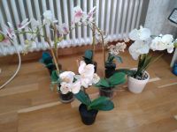 7 Deko Orchideen aus Kunststoff Baden-Württemberg - Göppingen Vorschau