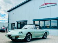 Alfa Romeo Spider 115 2.0 Vergaser Zender / einer der Besten Baden-Württemberg - Althengstett Vorschau