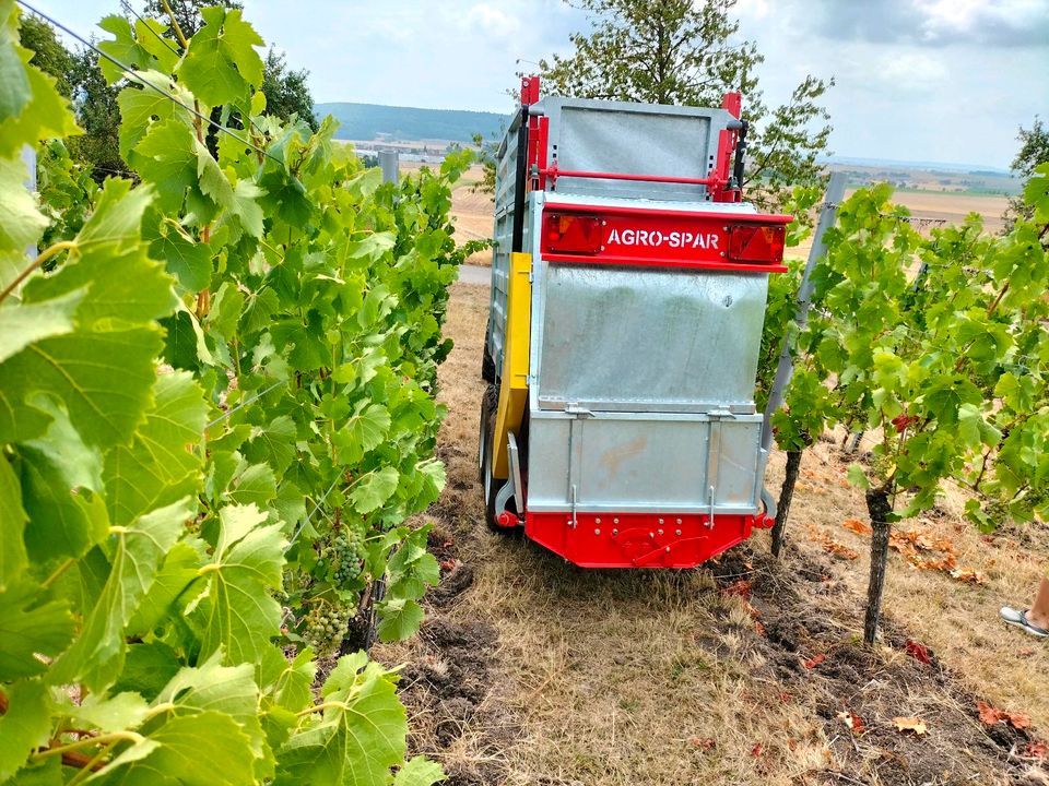 Weinbergstreuer Kompoststreuer für Weinbau Obstbau Hopfenbau in Markt Nordheim