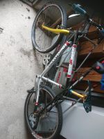 Mtb Hardtail Race bike 8,8kg Bergamont dt 240,kcnc,xt Bayern - Donaustauf Vorschau