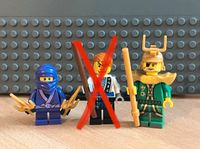 Lego Ninjago Figur Hutchins Nelson ab Bayern - Fürth Vorschau