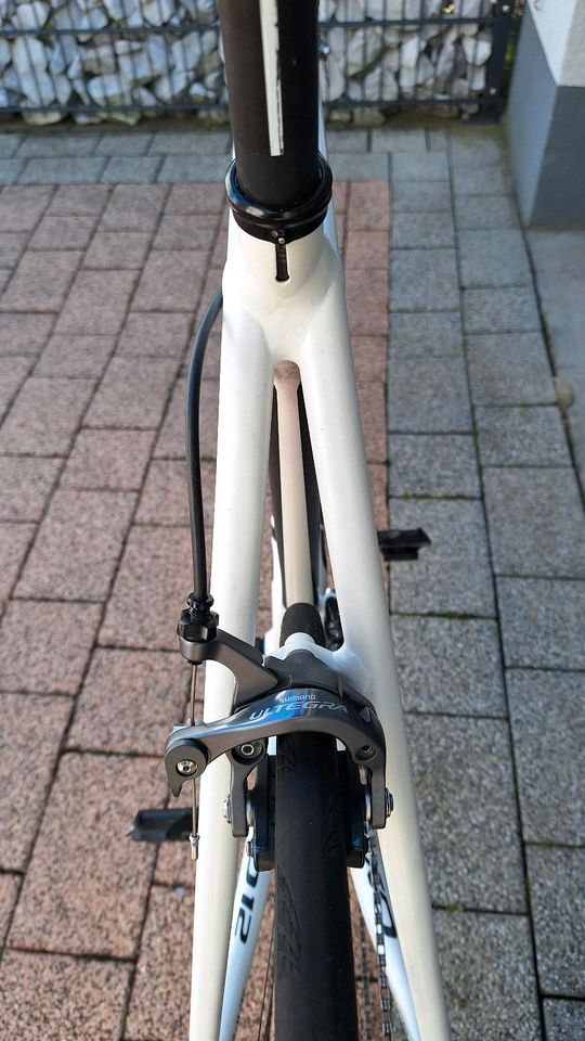 Cannondale CAAD12 Rh.56 in Karlsruhe