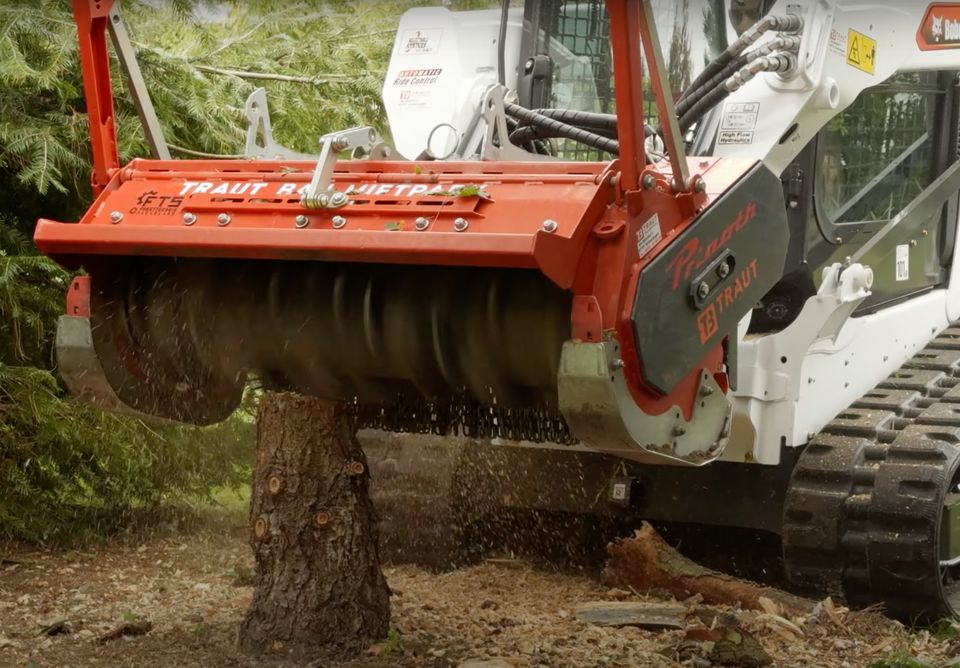 Forstmulcher Mulcher, Rodung, Gestrüppmulcher, Häcksler mit Fahrer mieten in Heimertingen